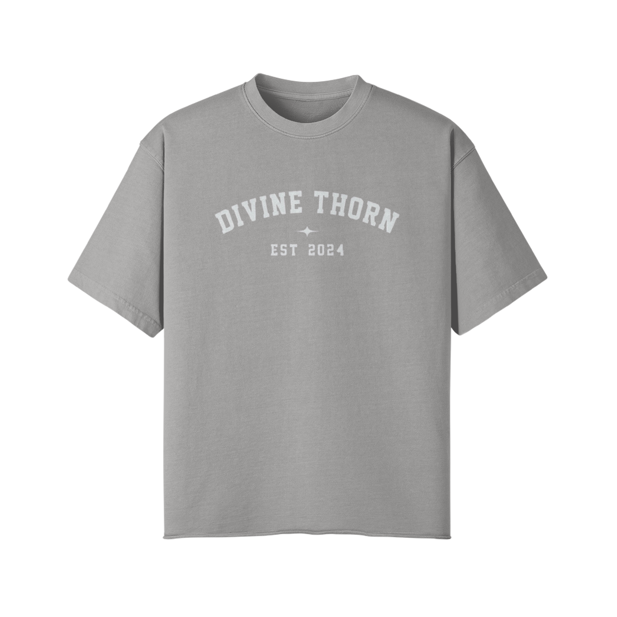Verse Definition Oversized Tee
