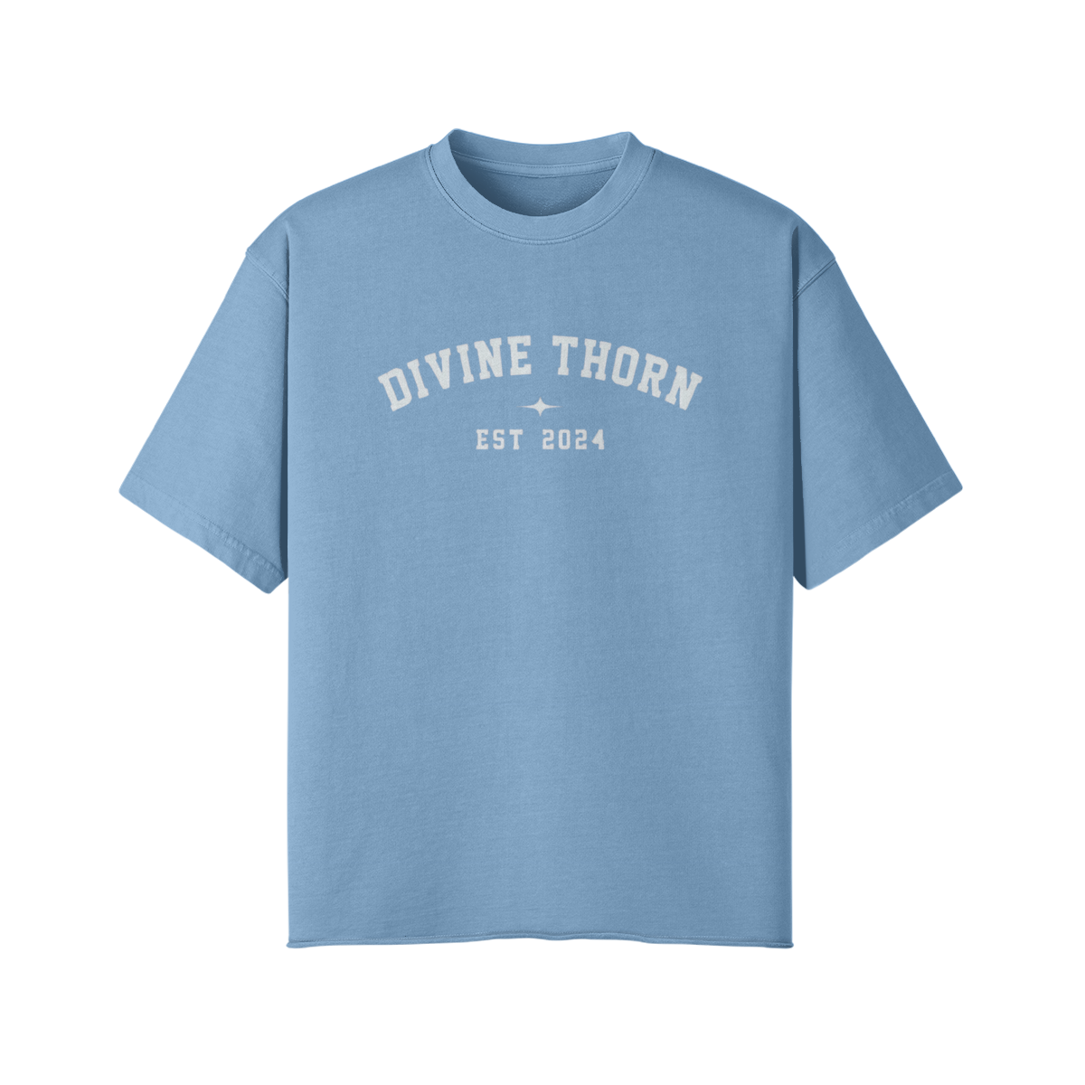 Verse Definition Oversized Tee